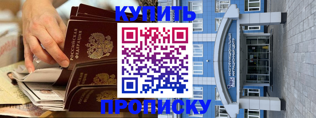 прописка гарантия в Волгограде